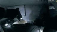 POLICE HPA