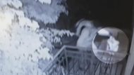 καμπουρακης-γκαζακια