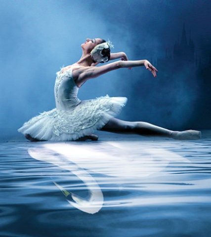 SL_viva_816x288-Small (2)