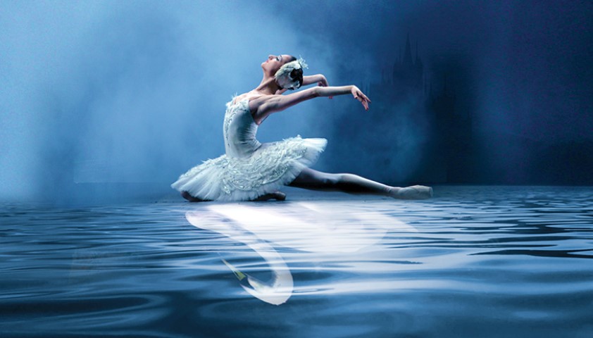 SL_viva_816x288-Small (2)