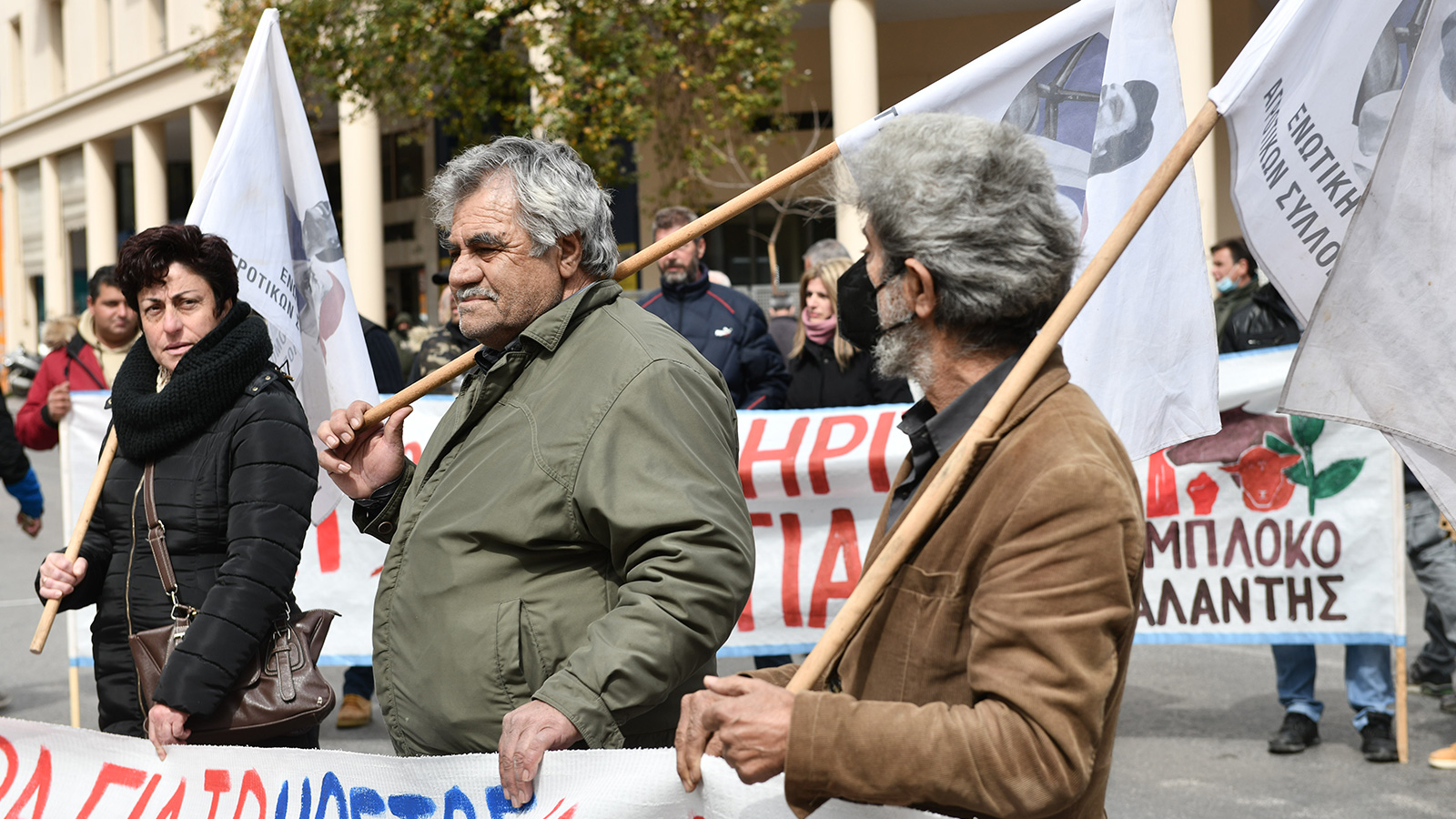 agrotes-athina-kinitopiisi-6