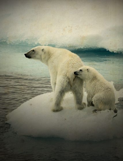 ocean-melting