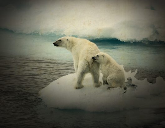 ocean-melting