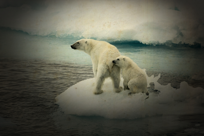 ocean-melting