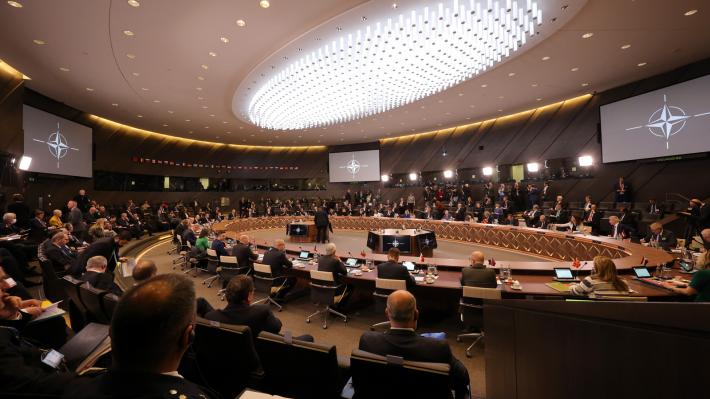 ypam-nato-02