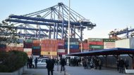 cosco-02