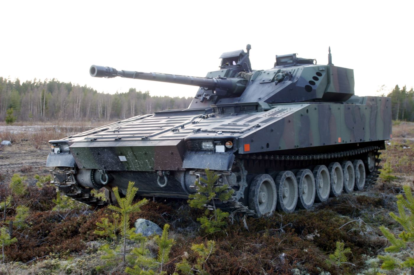 CV90_for_APS_release