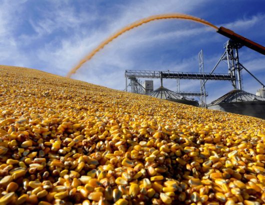 Government Shutdown Farmer Payments