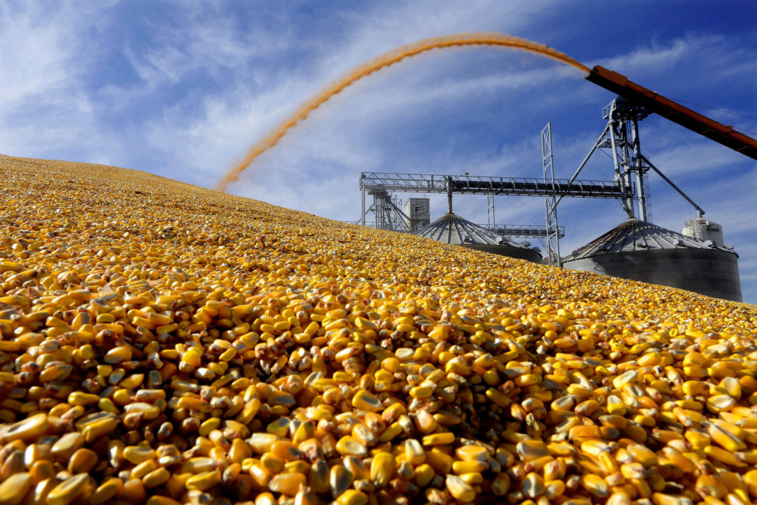 Government Shutdown Farmer Payments