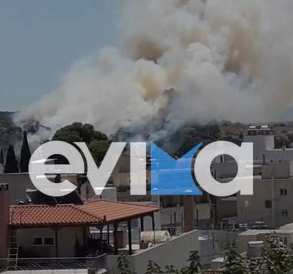 fotia-aliveri