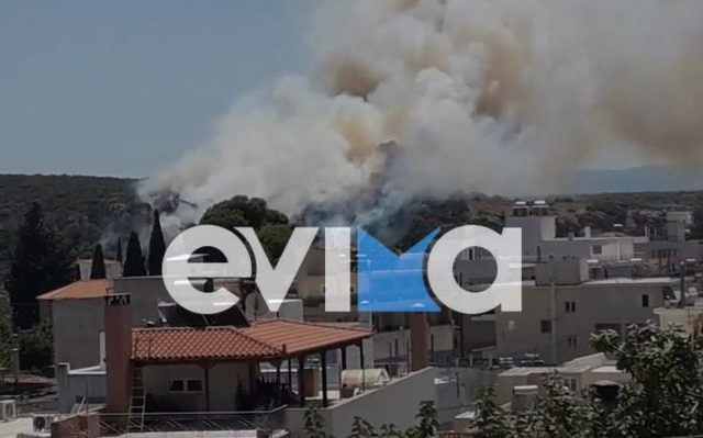 fotia-aliveri