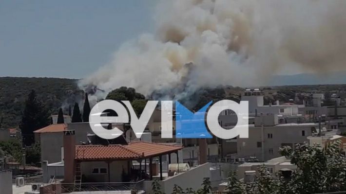 fotia-aliveri