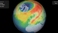 copernicus-arctic