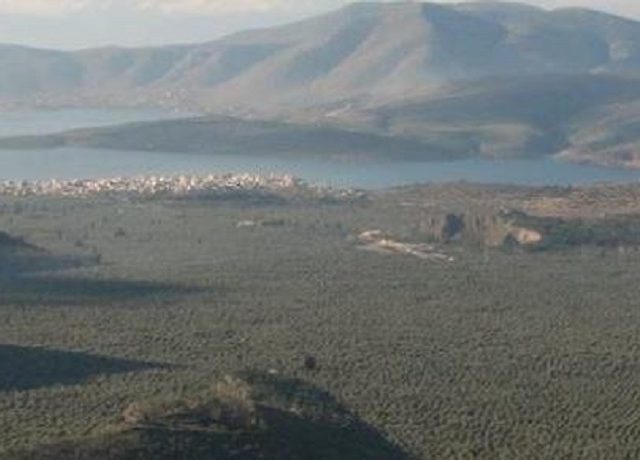 δελφ