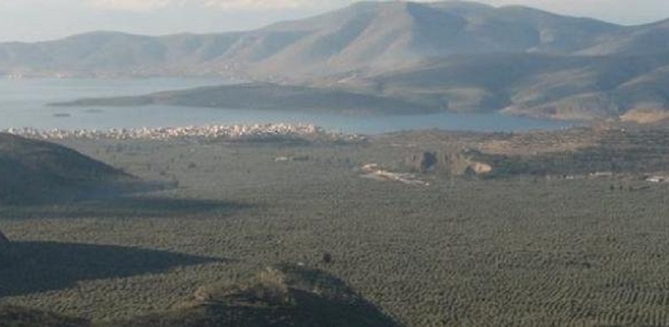 δελφ