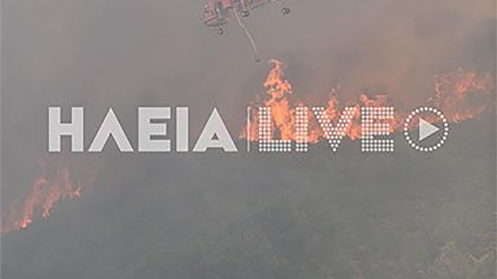 fwtia-axaia-19