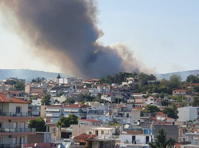μανδρα