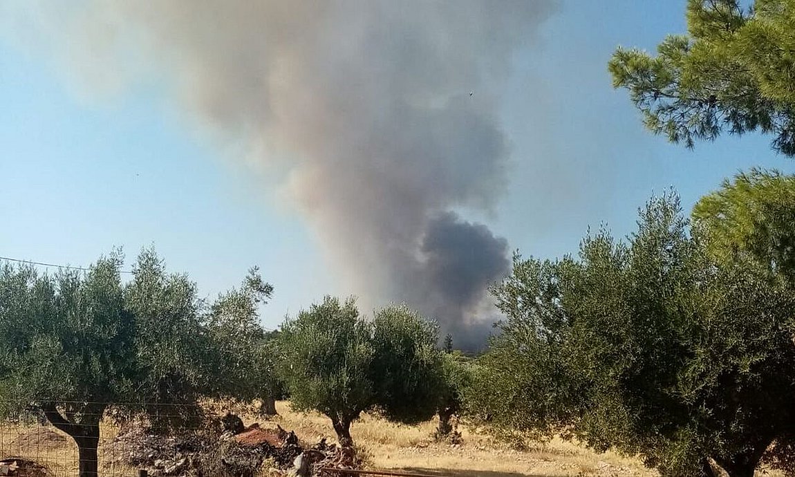 μανδρα1