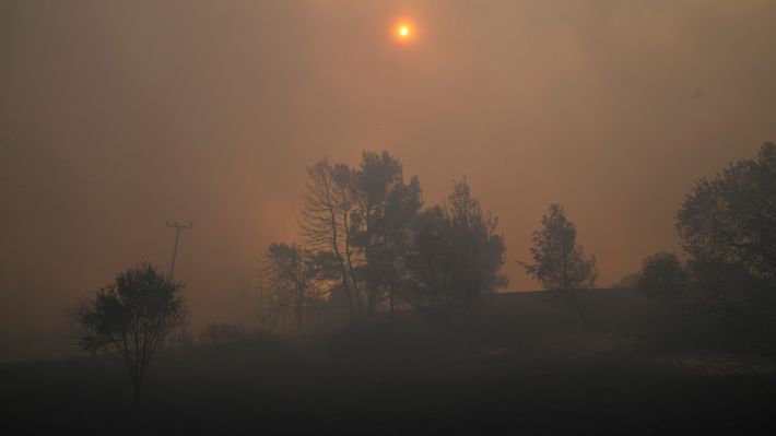 megara-fotia-11