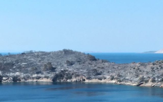samos-fotia-4