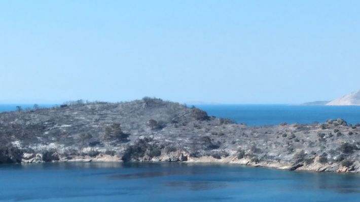 samos-fotia-4