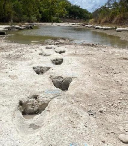 220823035010-02-dinosaur-tracks-discovered-texas-park-exlarge-169