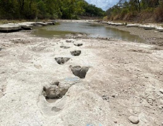 220823035010-02-dinosaur-tracks-discovered-texas-park-exlarge-169