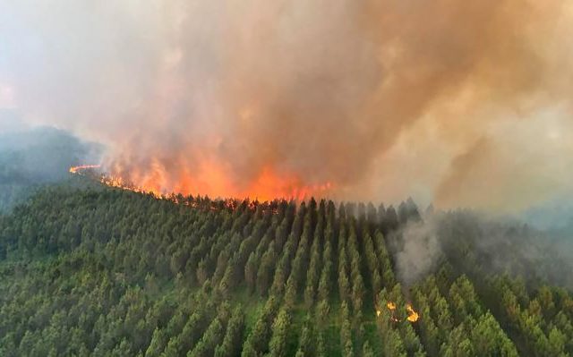 europe-fires-4