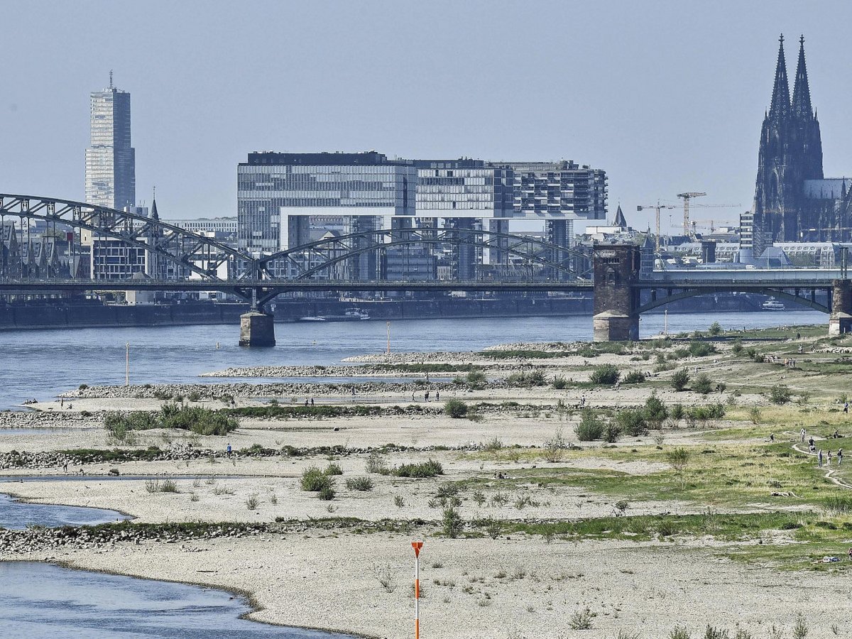 rhine-river-drought-germany