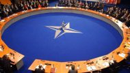 nato-500_252863_308044_type13262