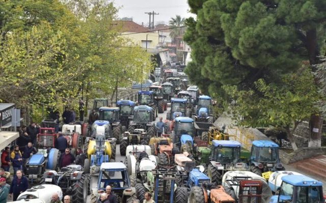 agrotes-agia-05