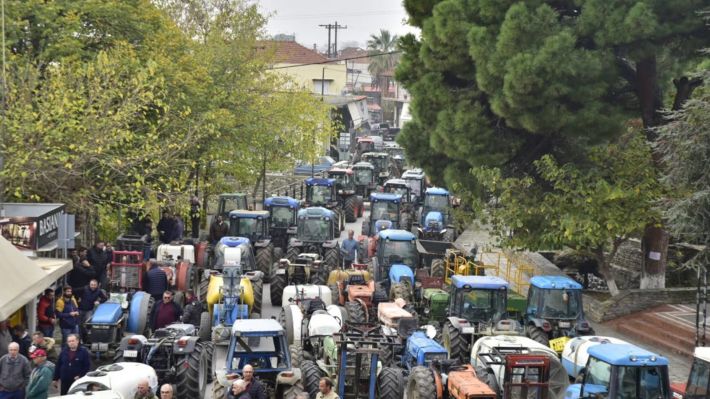 agrotes-agia-05