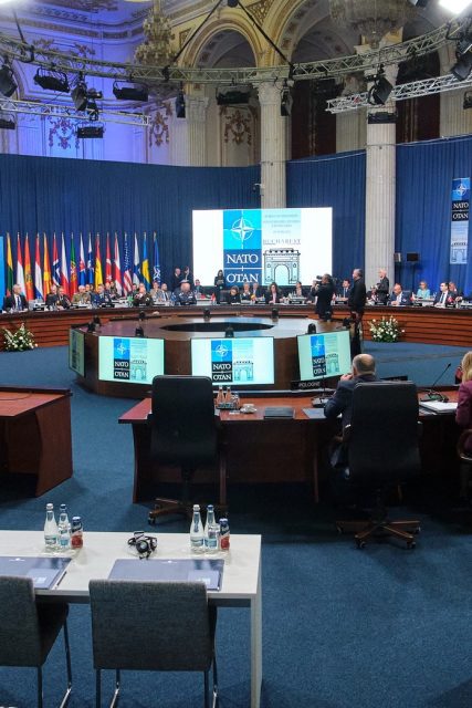 synodos-ypeks-nato-boykoyresti-roymania_252863_354604