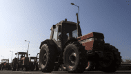 agrotes_bloka