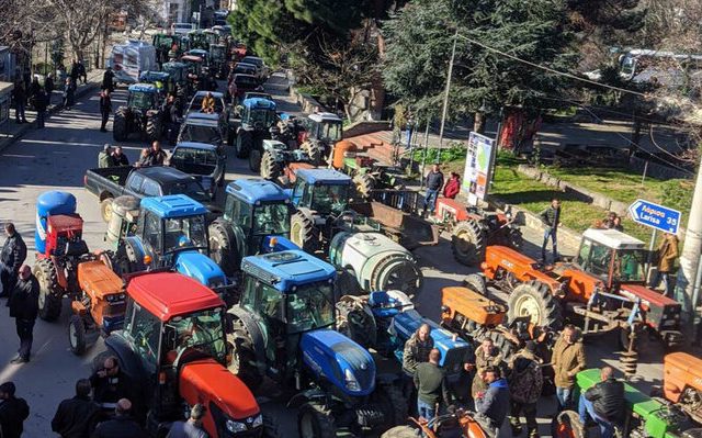 agrotes-agia-03