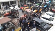 agrotes-trikala-06