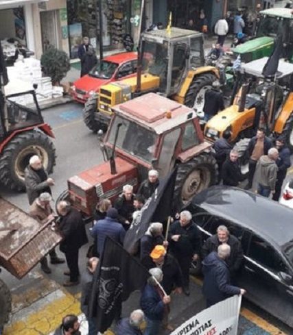 agrotes-trikala-06