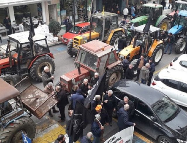 agrotes-trikala-06