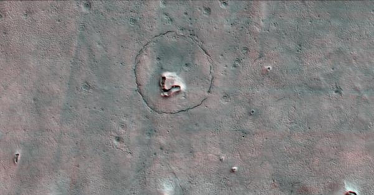astronomers-discover-a-bear-on-mars