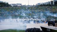 brazil_taraxes_eisvoli