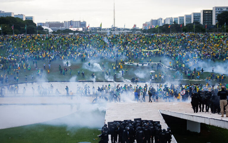 brazil_taraxes_eisvoli