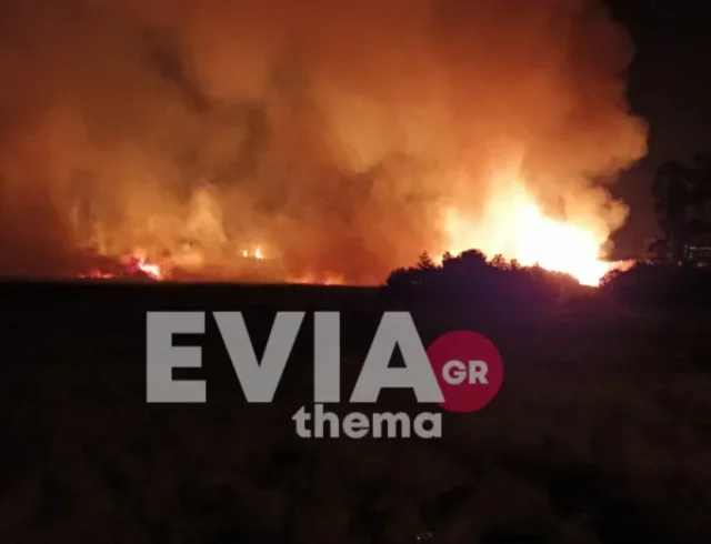 fotia-psaxna-696×522