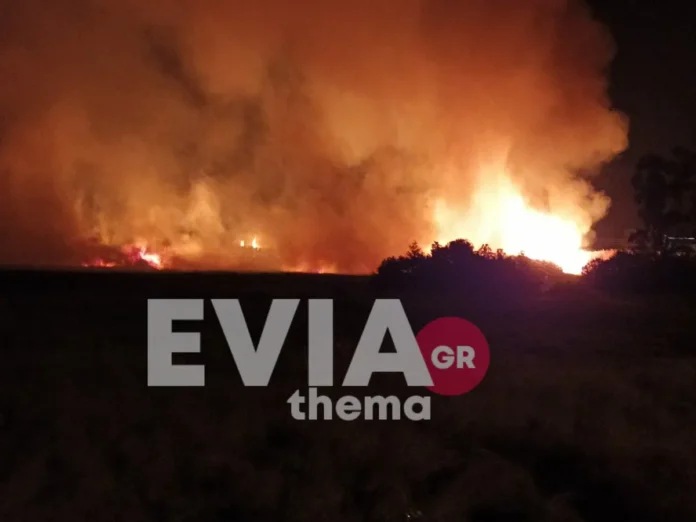 fotia-psaxna-696×522