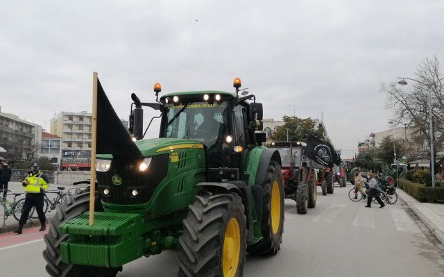 trikala-agrotes-6 (1)