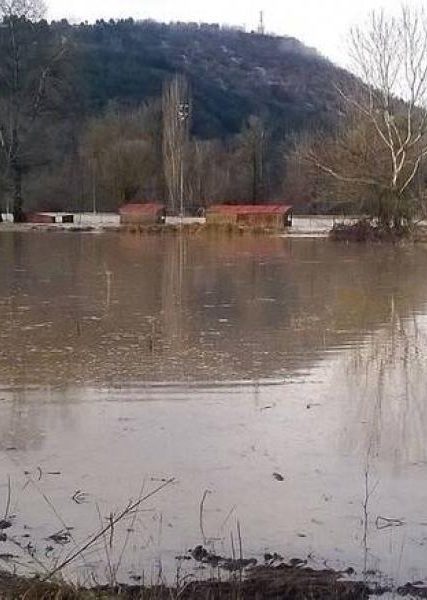 veria
