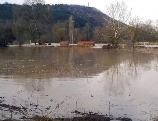 veria