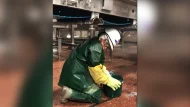 child-labor