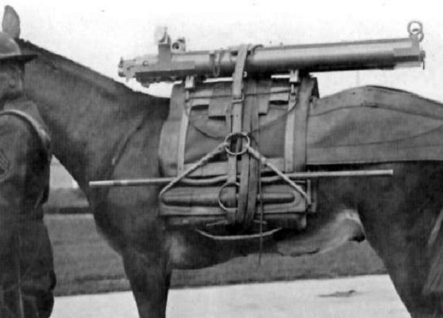History-World-War-