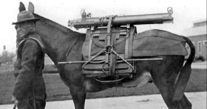 History-World-War-