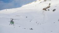 alpeis